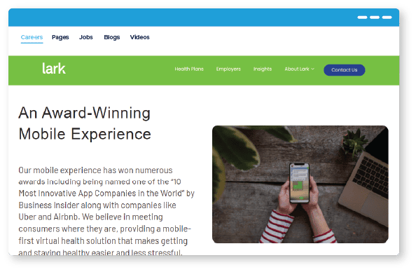 lark_career_page